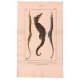 Gravure de Poissons, Pl 27 - 1 Le Syngnathe trompette - 2 Le Syngnathe hyppocampe - 3 Le Syngnathe tuyauu