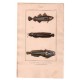 Gravure de Poissons, Pl 35 - 1 Le Gade capelan - 2 Le Gade mustel - 3 Le Batrachoïde tau