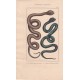 Gravure d'Ophidiens ou serpents, Pl 4 - 1 La Vipère fer de lance - 2 La Tête triangulaire