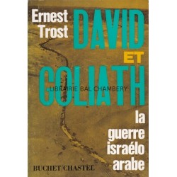 David et Goliath La guerre israélo-arabe