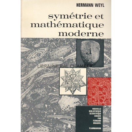 Symétrie et mathématique moderne