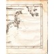 Gravure n° 5  -" Carte de la Terre Van-Diemen " - A Voyage to the Pacific Ocean [Third Voyage]