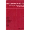 Milieux, hommes et tehniques du Sahara préhistorique  Problèmes actuels