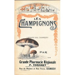 Les champignons