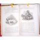 Histoire physiologique et anecdotique des chiens de toutes les races