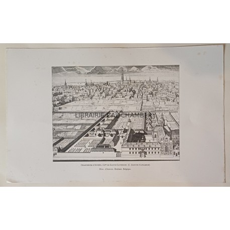 Maisons de l'ordre des Chartreux - Province de Teutonie - Chartreuse d'Anvers